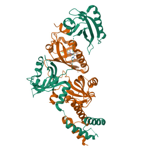 RCSB PDB - 9LOI: Crystal Structure of the Heterodimeric HIF-2 Complex ...
