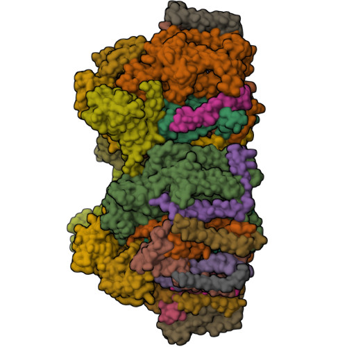 Structure 9LP8