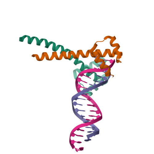 Homeobox-leucine zipper protein PROTODERMAL FACTOR 2 structure