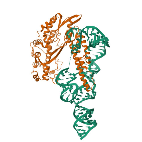 Structure 9LV7