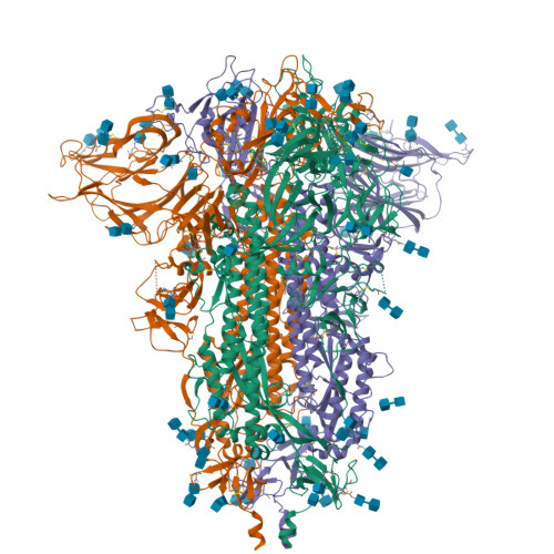 RCSB PDB - 9LVS: Cryo-EM structure of the SARS-CoV-2 spike protein in ...