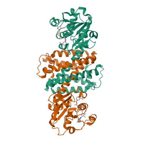 Structure 9LXM
