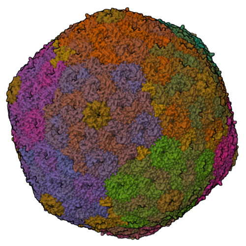 RCSB PDB - 9LY9: Cryo-EM structure of carboxysomal mid-shell: T