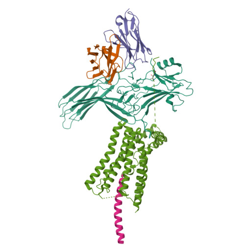 RCSB PDB - 9LZ0: Cryo-EM structure of PTH1R-beta-arrestin1 complex in ...