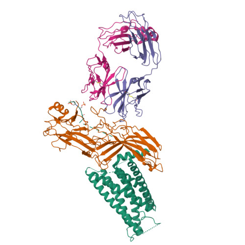 RCSB PDB - 9M0D: Cryo-EM structure of neurotensin receptor 1 in