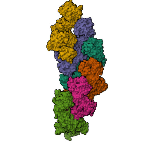 Structure 9M0N