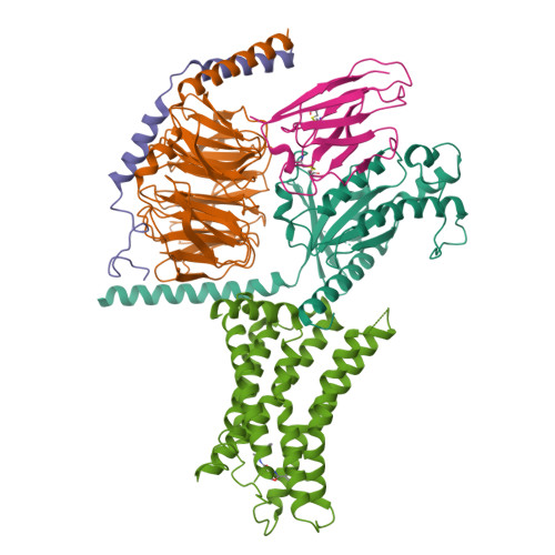 RCSB PDB - 9M42: Structure-based discovery of potent agonists of the ...