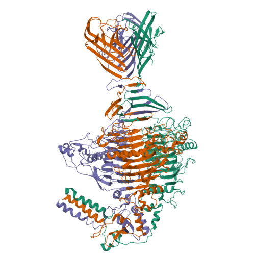 Structure 9M4C