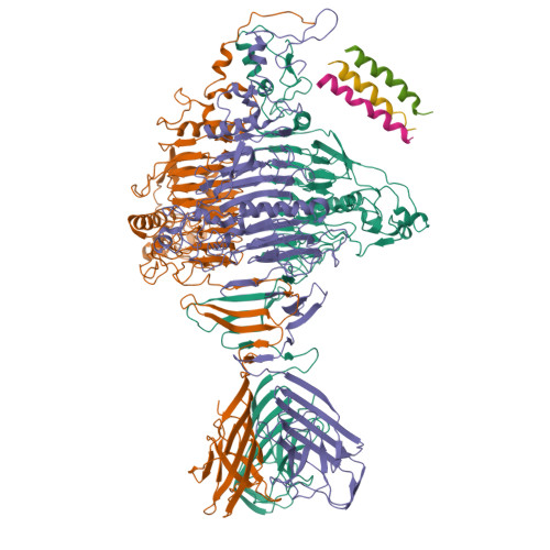 Structure 9M4D