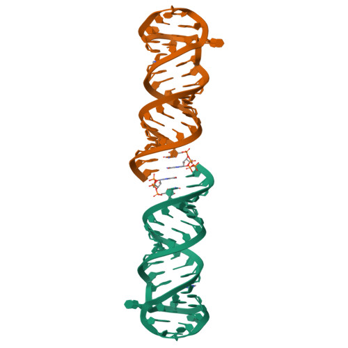 Structure 9M6B