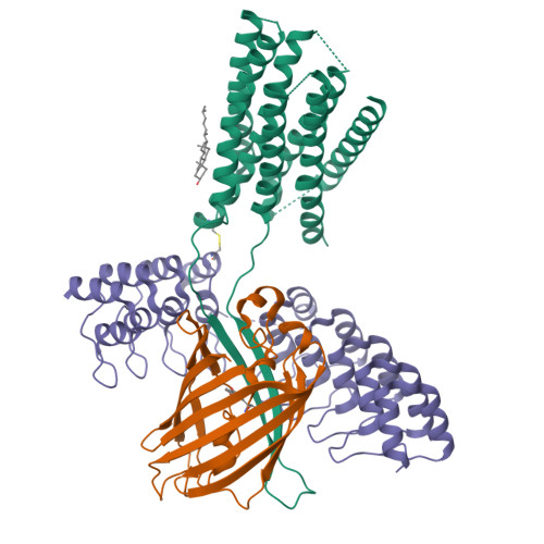 Structure 9M7H