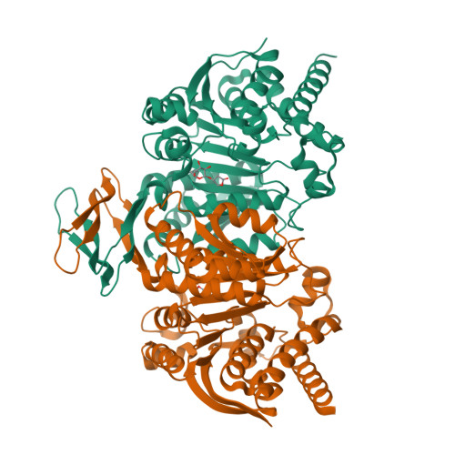 RCSB PDB - 9M82: Crystal Structure of Human IDH1 in Complex with ...