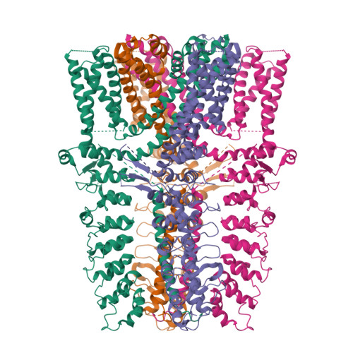 RCSB PDB - 9M8N: Cryo-EM structure of the human TRPA1 ion channel in ...
