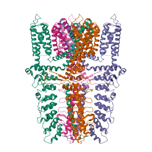 RCSB PDB - 9M8S: Cryo-EM structure of the human TRPA1 ion channel in ...