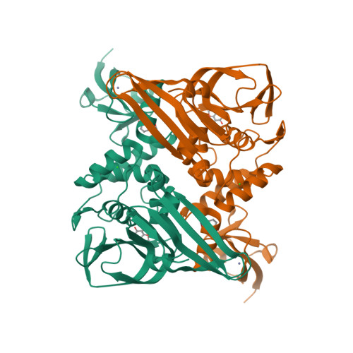 RCSB PDB - 9M91: The complex structure of Plpro and Frag29