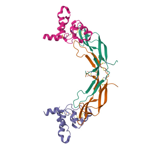 RCSB PDB - 9MAN: Structure of Norrin in complex with human Tspan12 ...