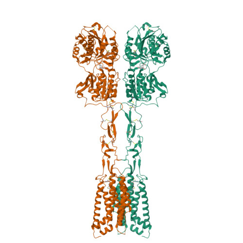 RCSB PDB - 9MBC: Cryo-EM structure of agonist-bound GPCR