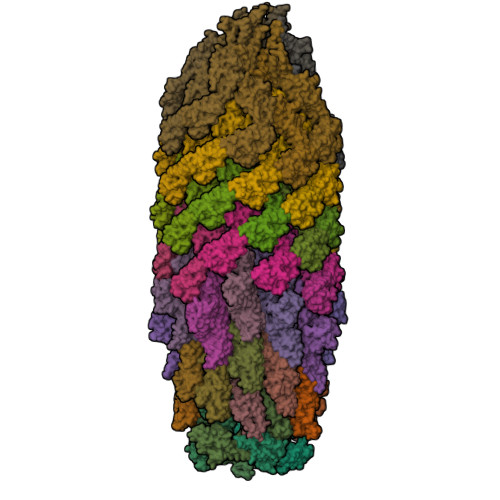 Structure 9MCG