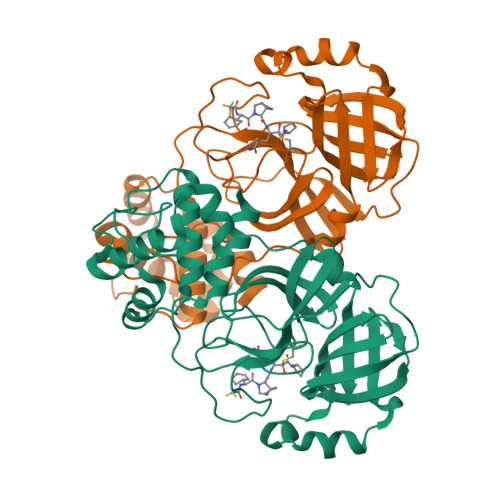 Structure 9MCK