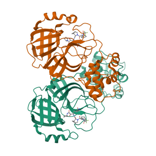 Structure 9MCM