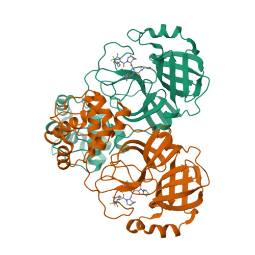 Structure 9MCN