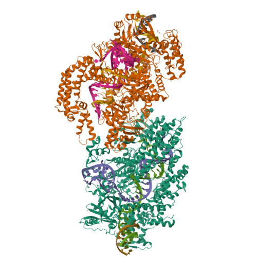 RCSB PDB - 9MK3: Engineered AsCas12a (M537R, F870L)