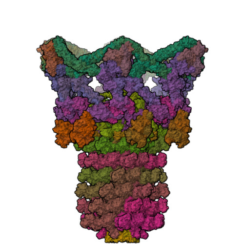 RCSB PDB - 9MOG: Structure of the distal part of the bacteriophage T4 tail