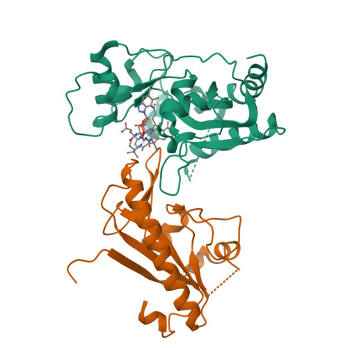 RCSB PDB - 9MRS: Crystal structure of human MMACHC in complex with ...
