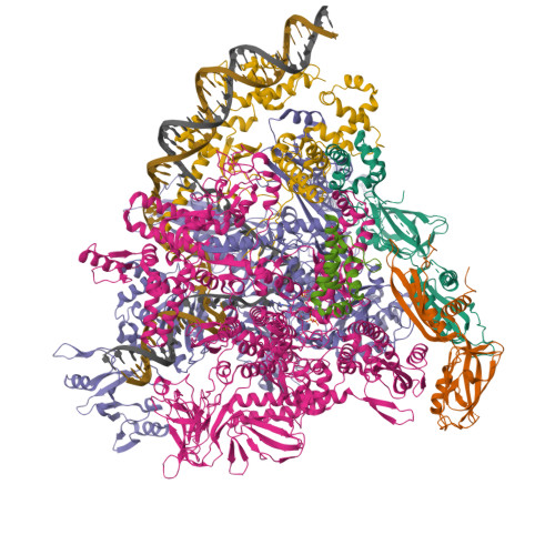 Rna Ntp RCSB PDB - 9MSJ: de novo SigN RNA polymerase NTP-bound open complex ...