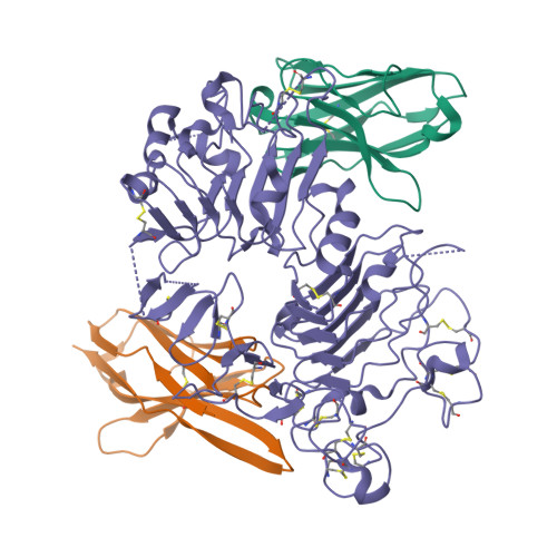 RCSB PDB - 9MTE: CryoEM structure of extracellular domain of human HER2 ...