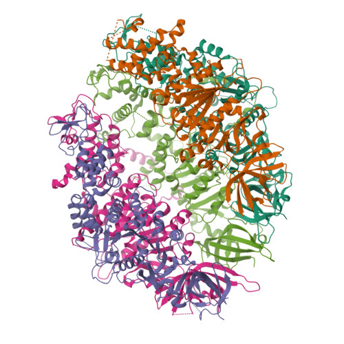Structure 9MX6