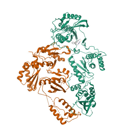 RCSB PDB - 9MXS: Cryo-EM Structure of HIV-1 Reverse Transcriptase p66 ...