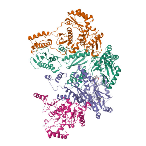 RCSB PDB - 9MXT: Cryo-EM Structure of HIV-1 Reverse Transcriptase p66 ...