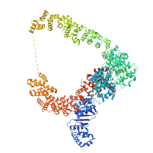 Structure 9N00