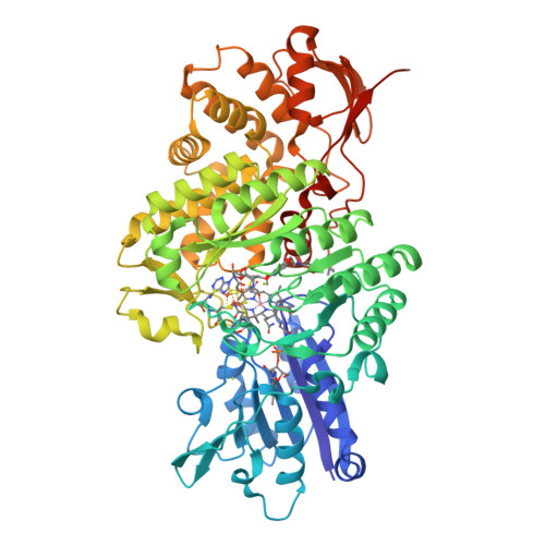 RCSB PDB - 9N1B: Crystal structure of CysS from Corallococcus sp ...