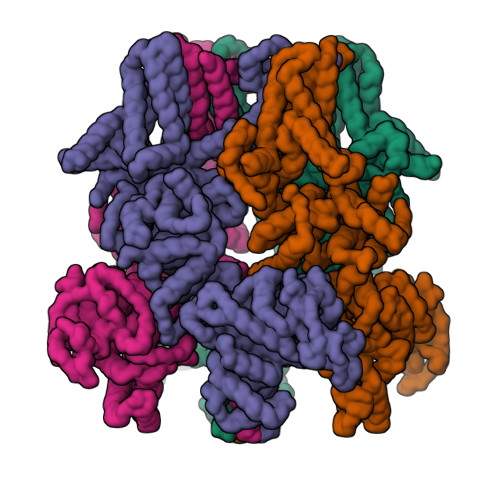 RCSB PDB - 9N1I: Cryo-EM structure of rabbit TRPM3 in complex with ...