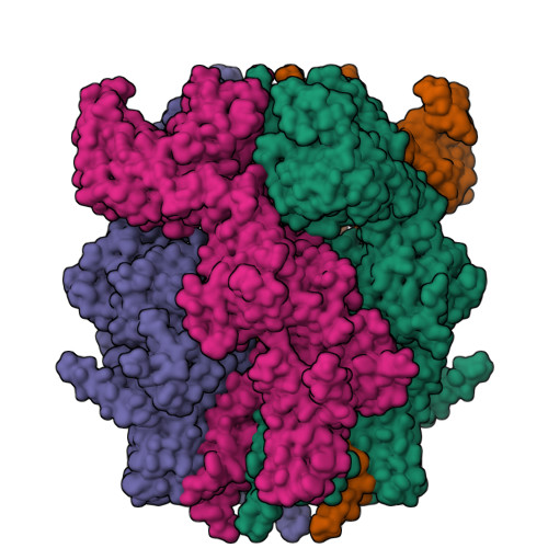 RCSB PDB - 9N1M: Cryo-EM structure of rabbit TRPM3 in complex with ...