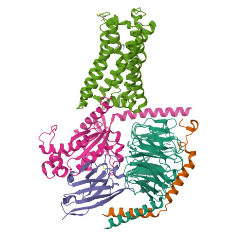 Structure 9N29