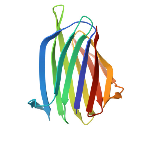 Structure 9N2X