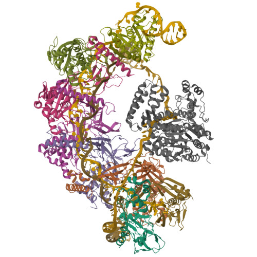 Structure 9N3Z