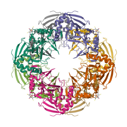 Structure 9N57