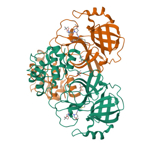 Structure 9N5R