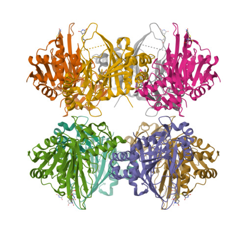 Structure 9N60