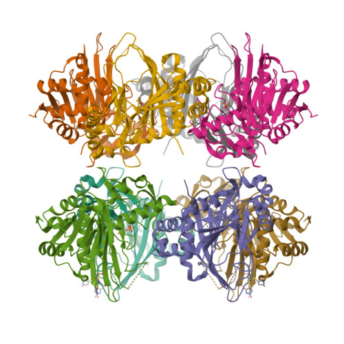 RCSB PDB - 9N7L: Glutarate L-2-hydroxylase Q184C mutant-5'-Mal-C6