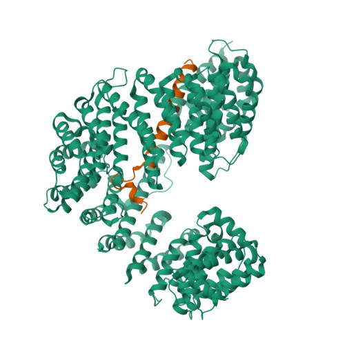 RCSB PDB - 9N86: Cryo-EM structure of human importin beta:importin ...