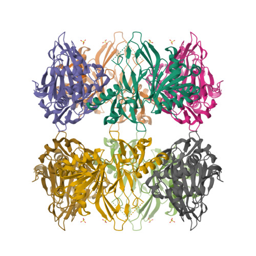 Structure 9N8S