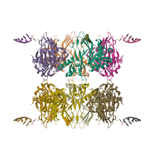 Structure 9N8U