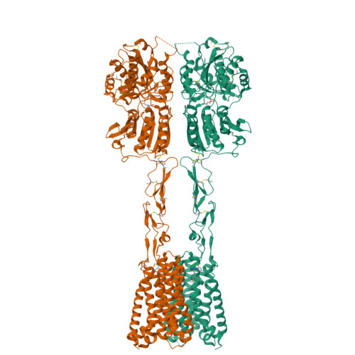 Structure 9N8Y