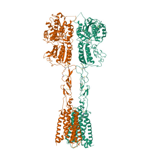 Structure 9N8Z