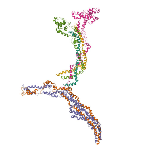 RCSB PDB - 9NBA: Augmin/V junction(open)